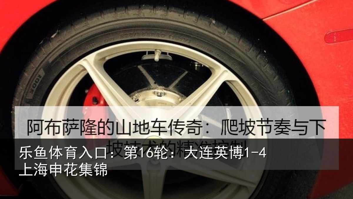乐鱼体育入口：第16轮：大连英博1-4上海申花集锦