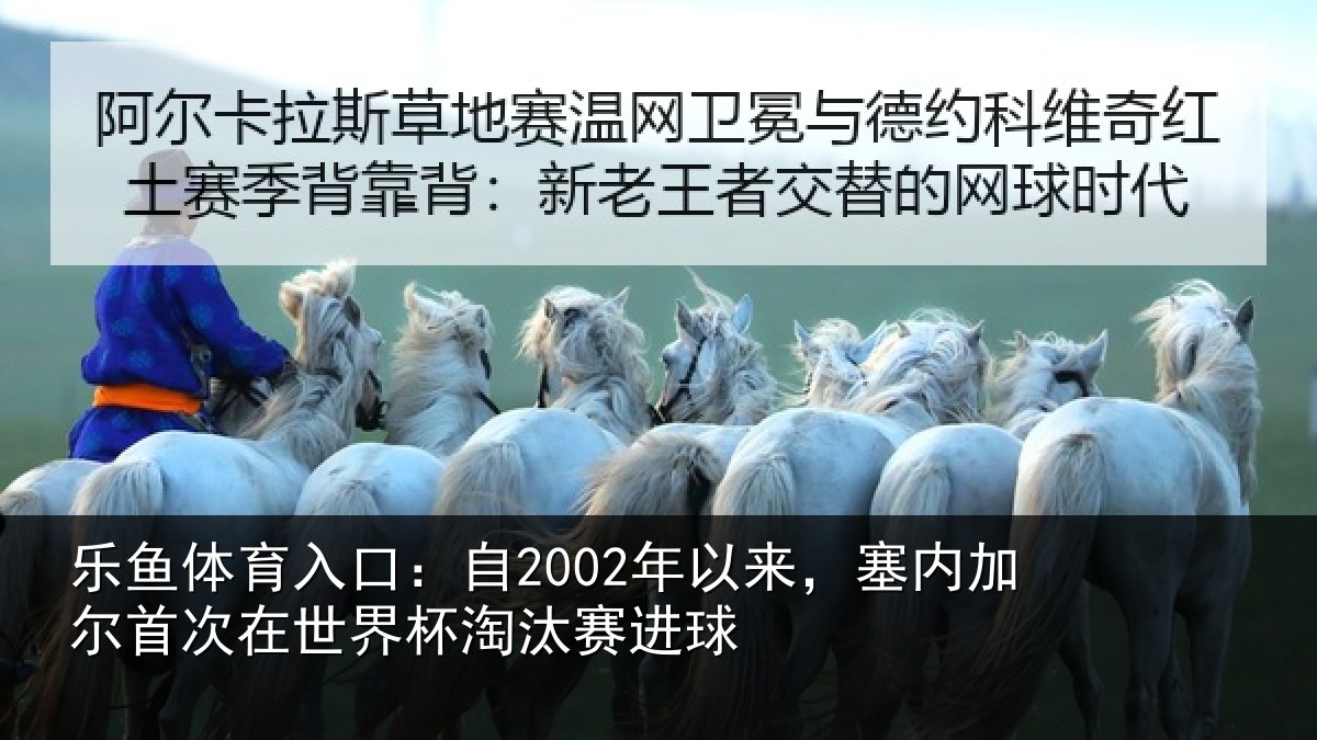 乐鱼体育入口:自年相关情况在世界杯淘汰赛进球