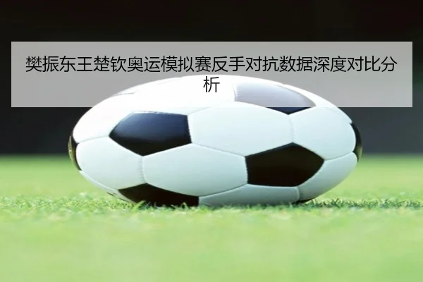 樊振东王楚钦奥运模拟赛反手对抗数据深度对比分析