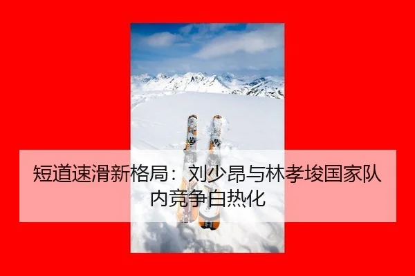 duan-dao-su-hua-xin-ge-ju-liu-shao-ang-yu-lin-xiao-jun-guo-jia-dui-nei-jing-zheng-bai-re-hua-2-200.jpg