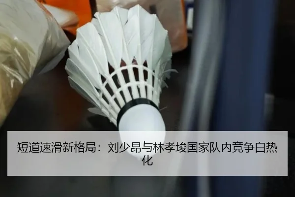 duan-dao-su-hua-xin-ge-ju-liu-shao-ang-yu-lin-xiao-jun-guo-jia-dui-nei-jing-zheng-bai-re-hua-3-142.jpg